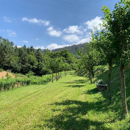 Loft - Casinha A Porta Villa Arouca Eksteriør bilde
