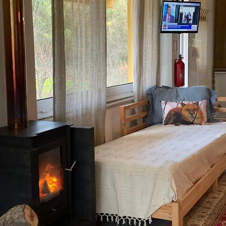 Loft - Casinha A Porta Villa Arouca Eksteriør bilde